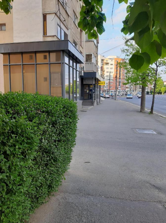 Creative Apartment Baia Mare Exterior foto